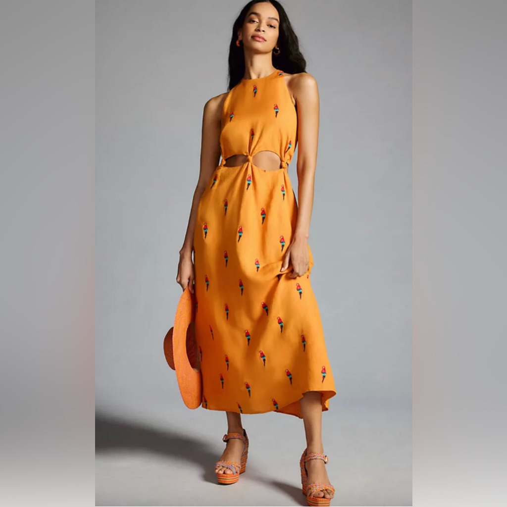 Nwt Anthropologie Farm Rio Parrot Halter Maxi Dress Size Large